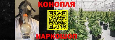 мяу мяу мука Иваново