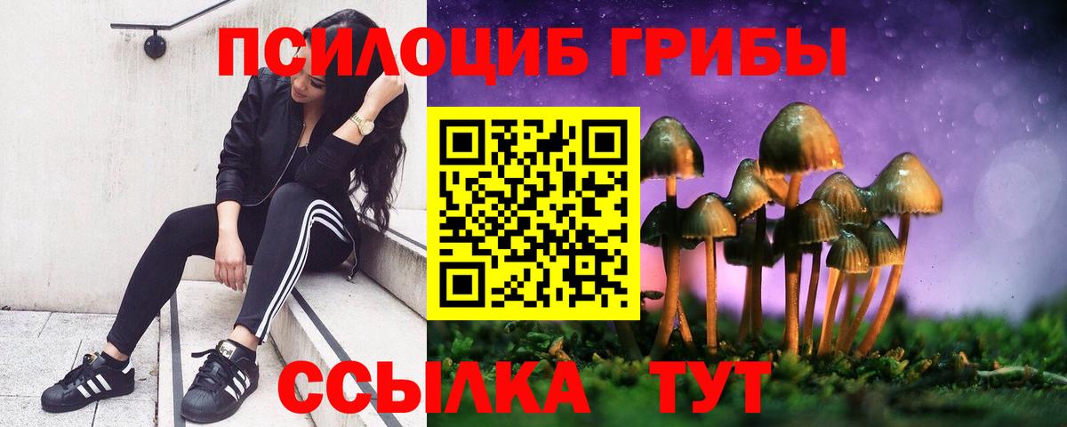 Галлюциногенные грибы прущие грибы Киржач