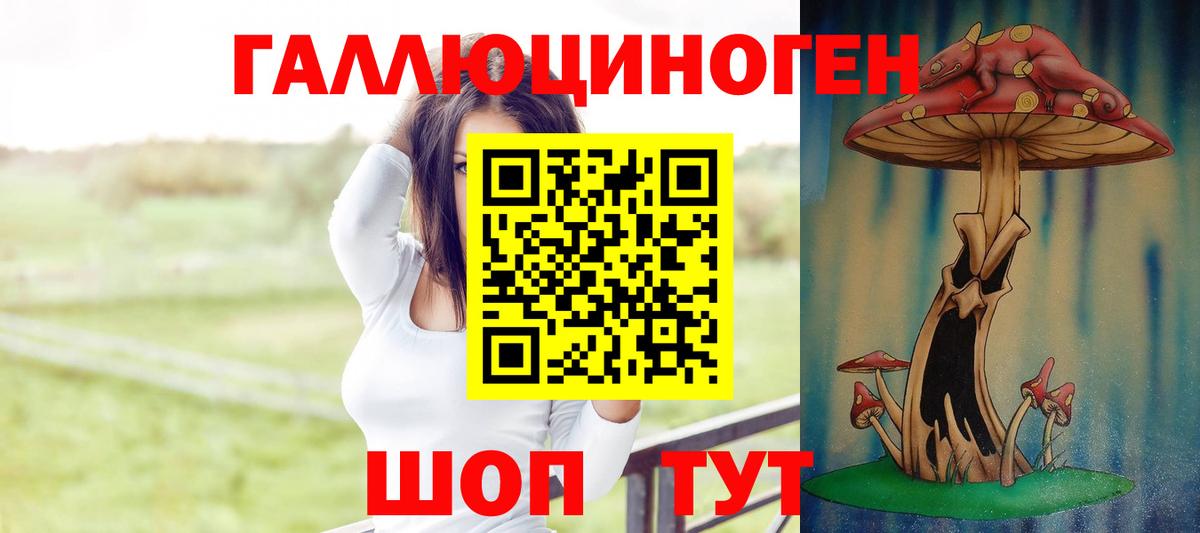 Галлюциногенные грибы GOLDEN TEACHER  Вход с VPN  Киржач  Псилоцибиновые грибы Magic Shrooms 